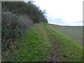 Path by the north side of Orchard Wood