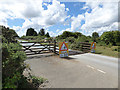 Cattle grid on Goonzion Downs