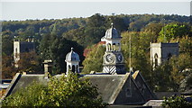 TL8783 : Thetford rooftops from Castle Hill by Colin Park