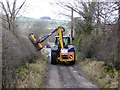NY8564 : Hedge cutting on the lane down from Elrington by Oliver Dixon