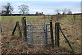 Gate on path to Twynfilkins Farm