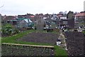 Allotments between Abbots Road and Deansbrook Road