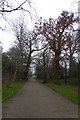 Path into Canons Park