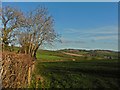 Pasture, near Kitlake