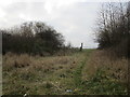 Field entrance off Kilnhurst Road