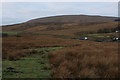 SD7891 : View towards Baugh Fell by Chris Heaton