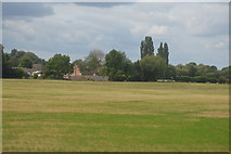 TL4451 : Field near Hauxton by N Chadwick