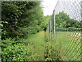 Footpath to School Lane