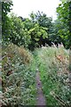 Footpath into woodland at Delf Hill