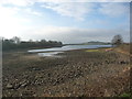 SE2924 : Eastern corner, Ardsley reservoir by Christine Johnstone