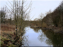 SD7910 : River Irwell at Daisyfield by David Dixon