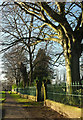 Churchyard railings, Otley Road