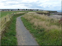 NU2231 : Northumberland Coast Path and the St Oswald's Way by Mat Fascione