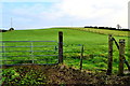 Green field, Clogherny Glebe Upper