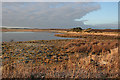 Beside the Hide