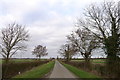 Allington Lane leading to Allington Junction