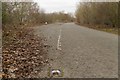 Part of the old A507 near Boundary Farm