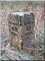 Old Milestone by the A68, Byrness