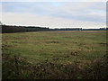 TF7607 : Field near Lodge Farm by Hugh Venables