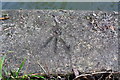 Benchmark on culvert for outfall into the Oxford Canal