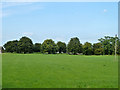 Field, Lusted Hall Farm