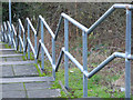 Steps to Barrs Brae