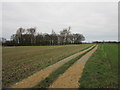 Bridleway to Deighton