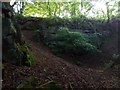 Butterton Sandstone Outcrop