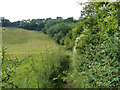 Footpath towards Norheads Lane