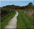 Towpath along the disused Grantham Canal