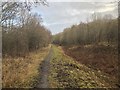 Raisby Hill Grassland Nature Reserve