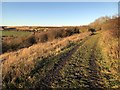 Track to Crow Trees Nature Reserve