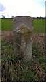 TF1503 : Former council boundary stone near Werrington by Paul Bryan
