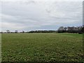 Large Field west of August Hill