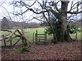 Llwybr Maesygwaelod / Maesygwalod Path