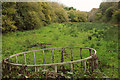 Meadow by Bow Bridge