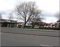 ST3486 : Trees at the southern edge of  Newport Retail Park by Jaggery