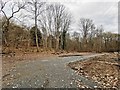 Closed Car Park in Mountain Wood