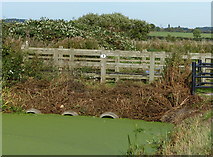 SK6237 : Bridge No 9 on the Grantham Canal by Mat Fascione