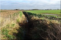 SO8544 : Drainage ditch by Philip Halling
