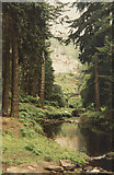 NU0702 : Cragside from the woodland walk by Malcolm Neal