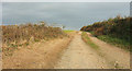 Farm track to Lower Heathfield