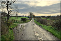 H5571 : Roeglen Road, Bracky by Kenneth  Allen