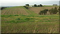 SX7848 : Farmland near Higher Coombe Farm by Derek Harper
