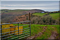 North Devon : Grassy Field