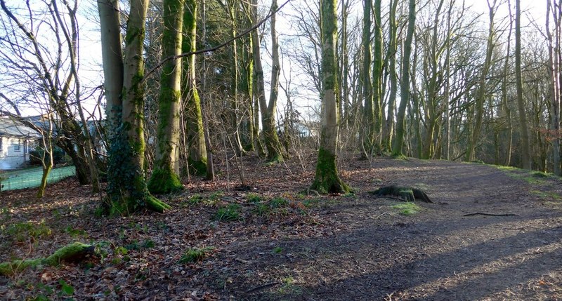 The Burn Anne path through Burnhouse... © Gordon Brown :: Geograph ...