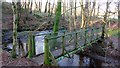 Footbridge over Burn Anne