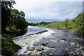 SE0063 : Weirs on the River Wharfe at Linton by Bill Harrison