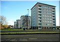 Blocks of flats, Tinwald Path