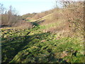 Path along the hillside below The Bank, Illingworth